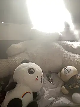 japosamel webcam