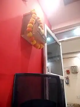 TANU01990 webcam