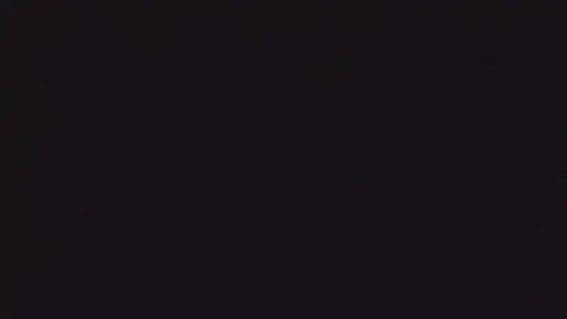 BuckWessle webcam