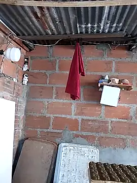 hoteder webcam