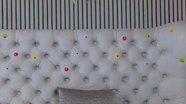 PlayfulShow webcam