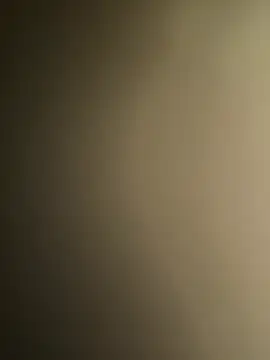 payaljaan800 webcam