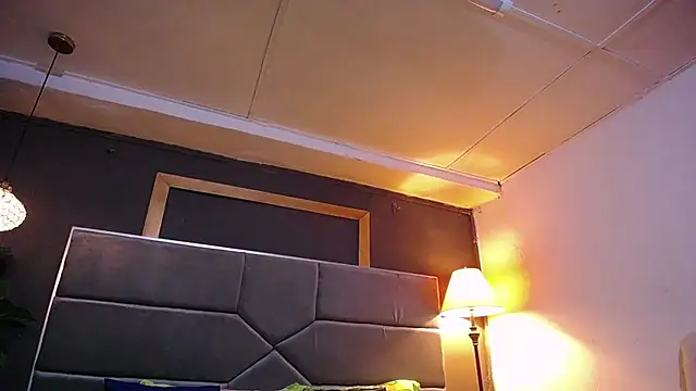 teddyfit19cm webcam