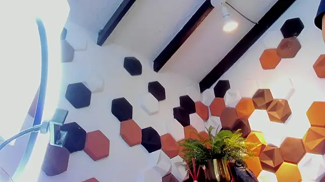 RomanCroft webcam