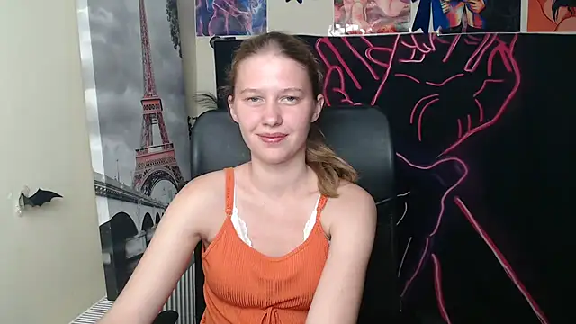 StellaCRL webcam