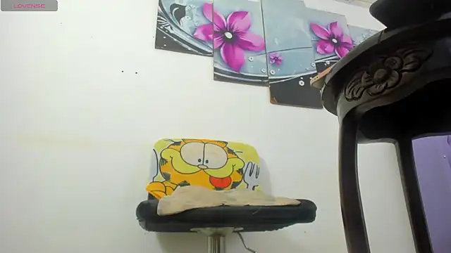 baiolethX webcam
