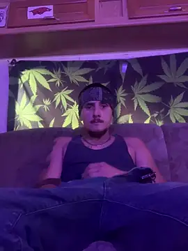 bugboy webcam