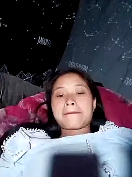 Liss-mimi webcam