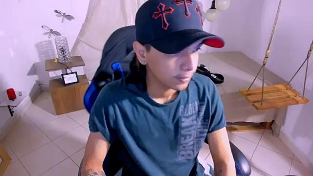 Brand_habes webcam