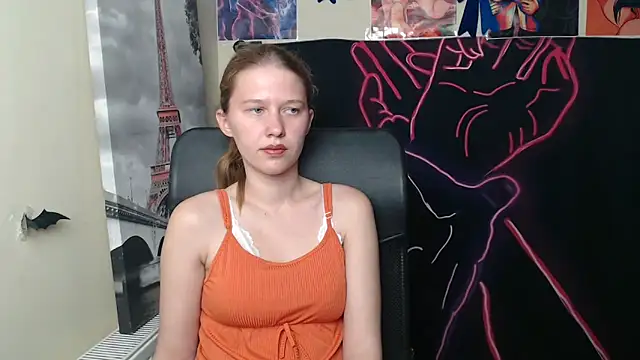 StellaCRL webcam