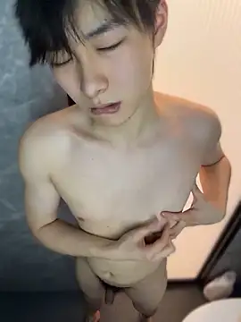 Vi_1314 webcam