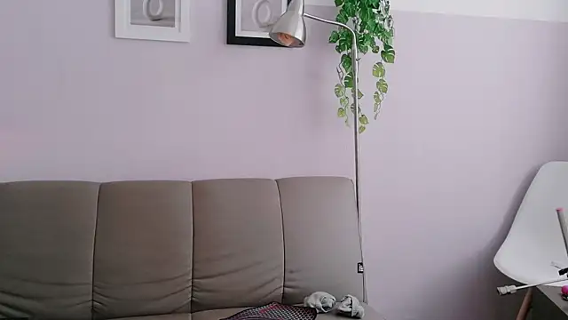 cata_cat webcam