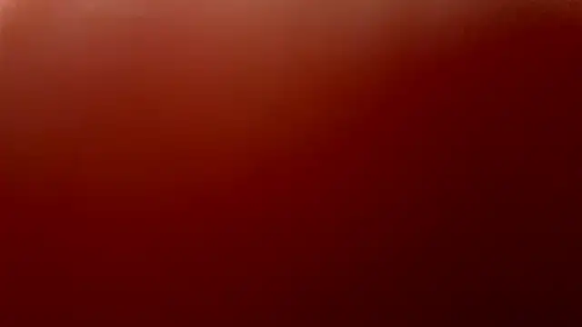 BlinkingDross webcam