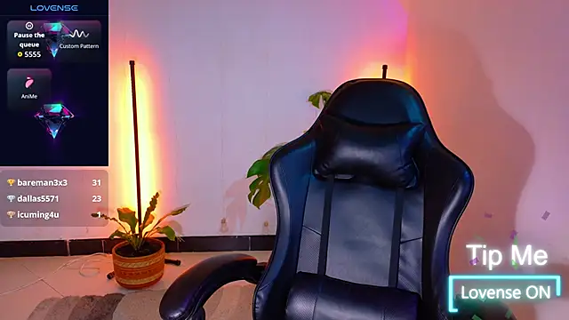 Sarasavage webcam