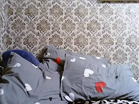 Lacmi30 webcam