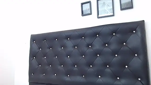 ivorynoir webcam