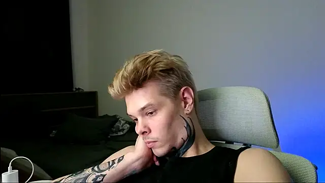 DENIS_HERE webcam