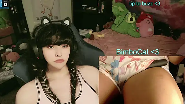 BimboCat webcam