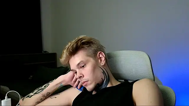 DENIS_HERE webcam