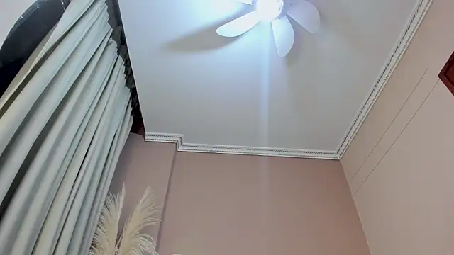 ValkaVega webcam