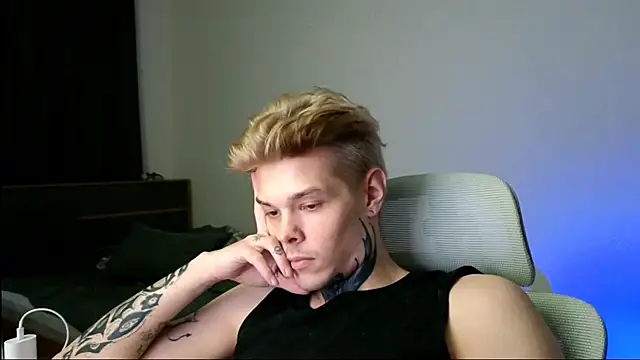 DENIS_HERE webcam