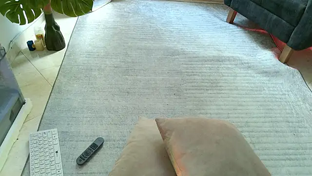 aramjones webcam