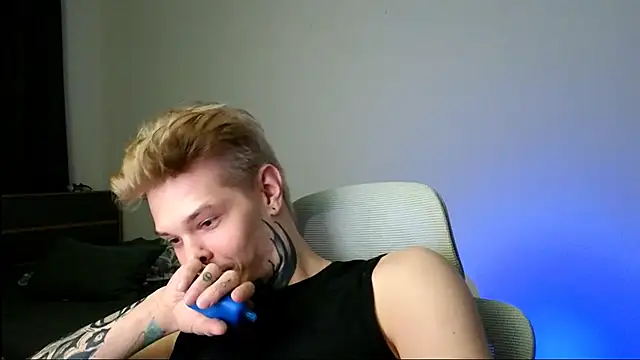 DENIS_HERE webcam