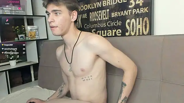 Shadow_blink webcam