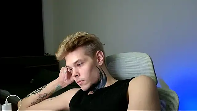 DENIS_HERE webcam