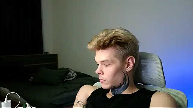 DENIS_HERE webcam
