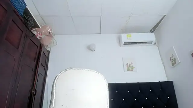 barbie_ds webcam