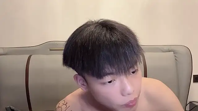 LY-0101 webcam