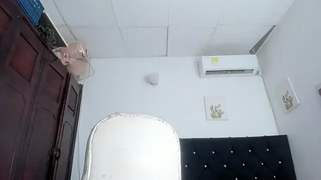 Modèle: barbie_ds