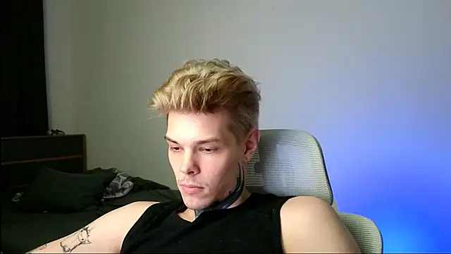 DENIS_HERE webcam