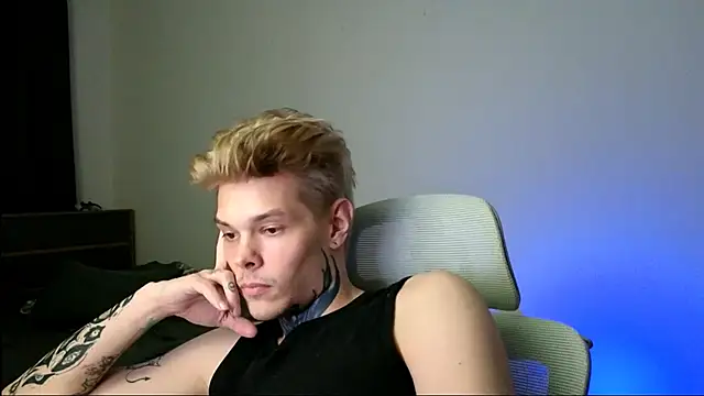 DENIS_HERE webcam