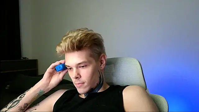 DENIS_HERE webcam