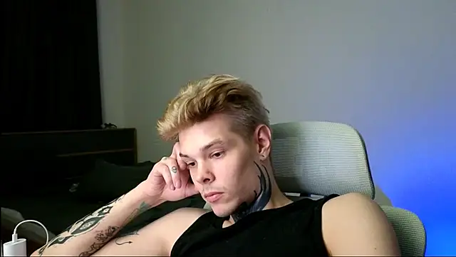 DENIS_HERE webcam