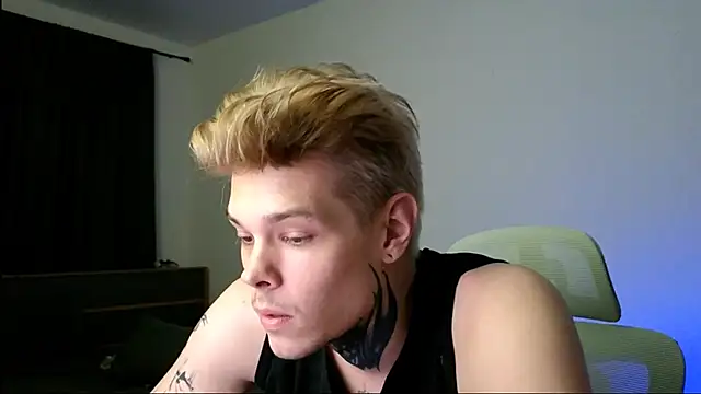 DENIS_HERE webcam
