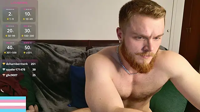 VictorTransMan webcam