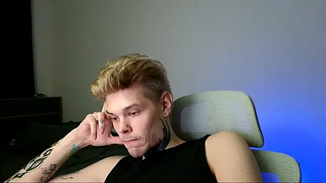 DENIS_HERE webcam