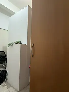 Janemasqueradeporn webcam