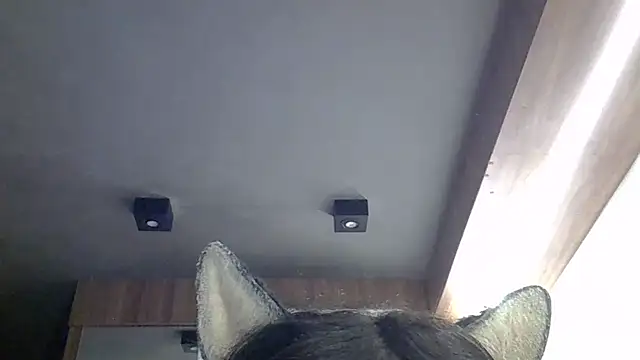 SkinnyKitten webcam