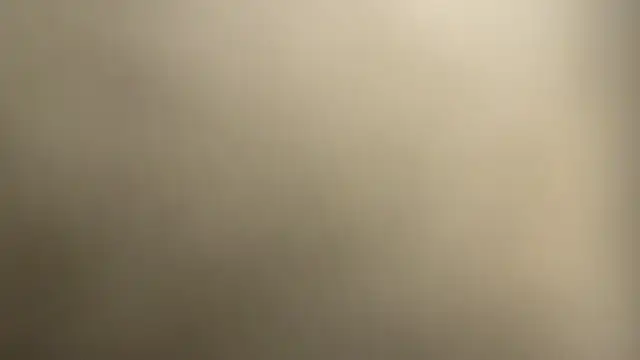 aryamirelle webcam