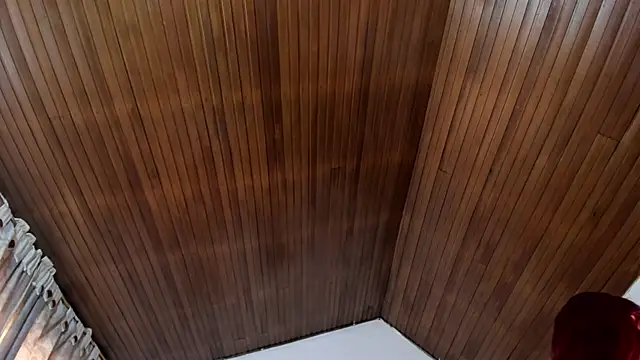 CelessteRedds webcam