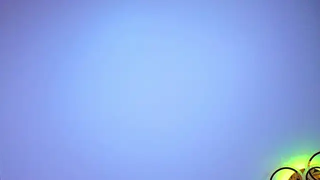 PerryKitty webcam