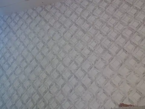Emma-Wilson webcam