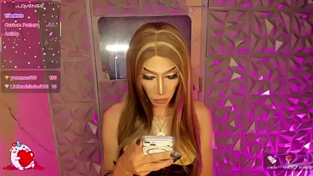 anitacruise webcam