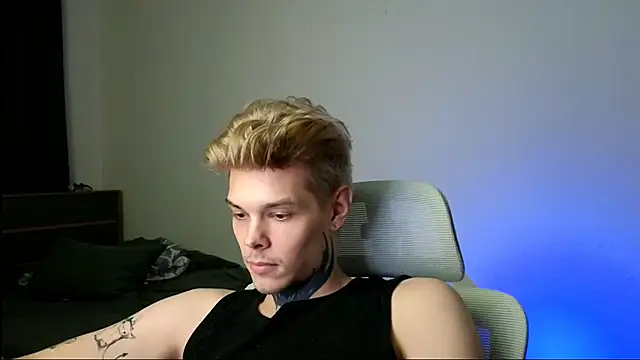 DENIS_HERE webcam