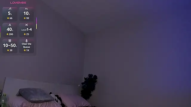 missinfull webcam