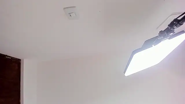 Aiko_Lee_ webcam